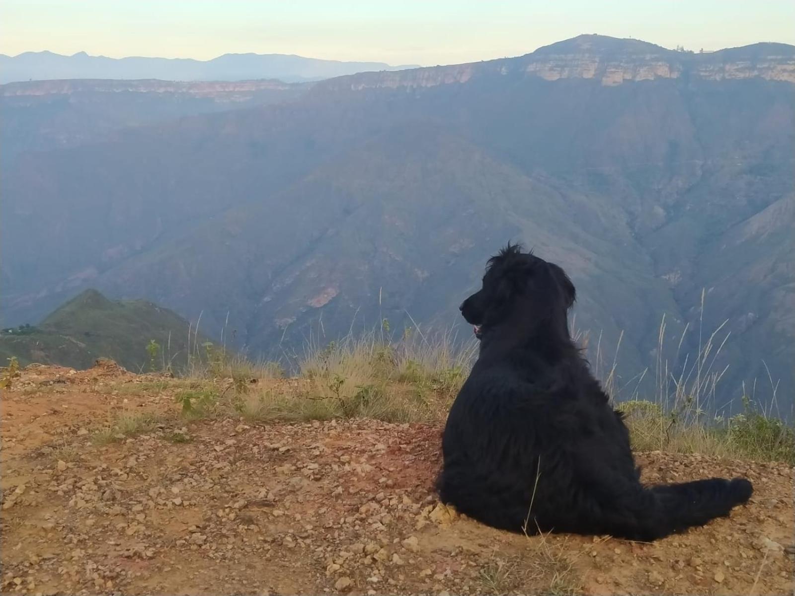 Cabanas Canon Del Chicamocha Aratoca Kültér fotó
