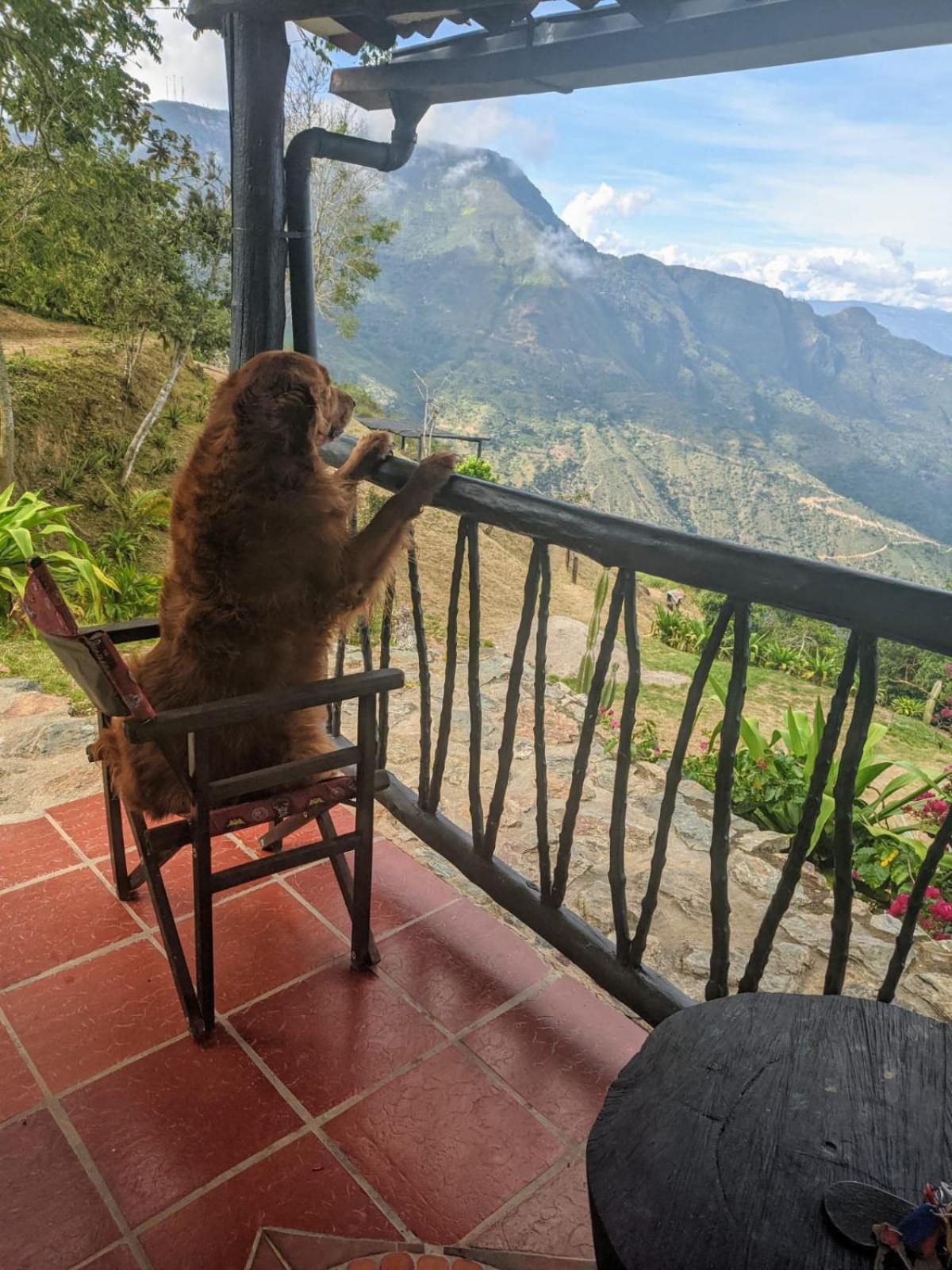 Cabanas Canon Del Chicamocha Aratoca Kültér fotó
